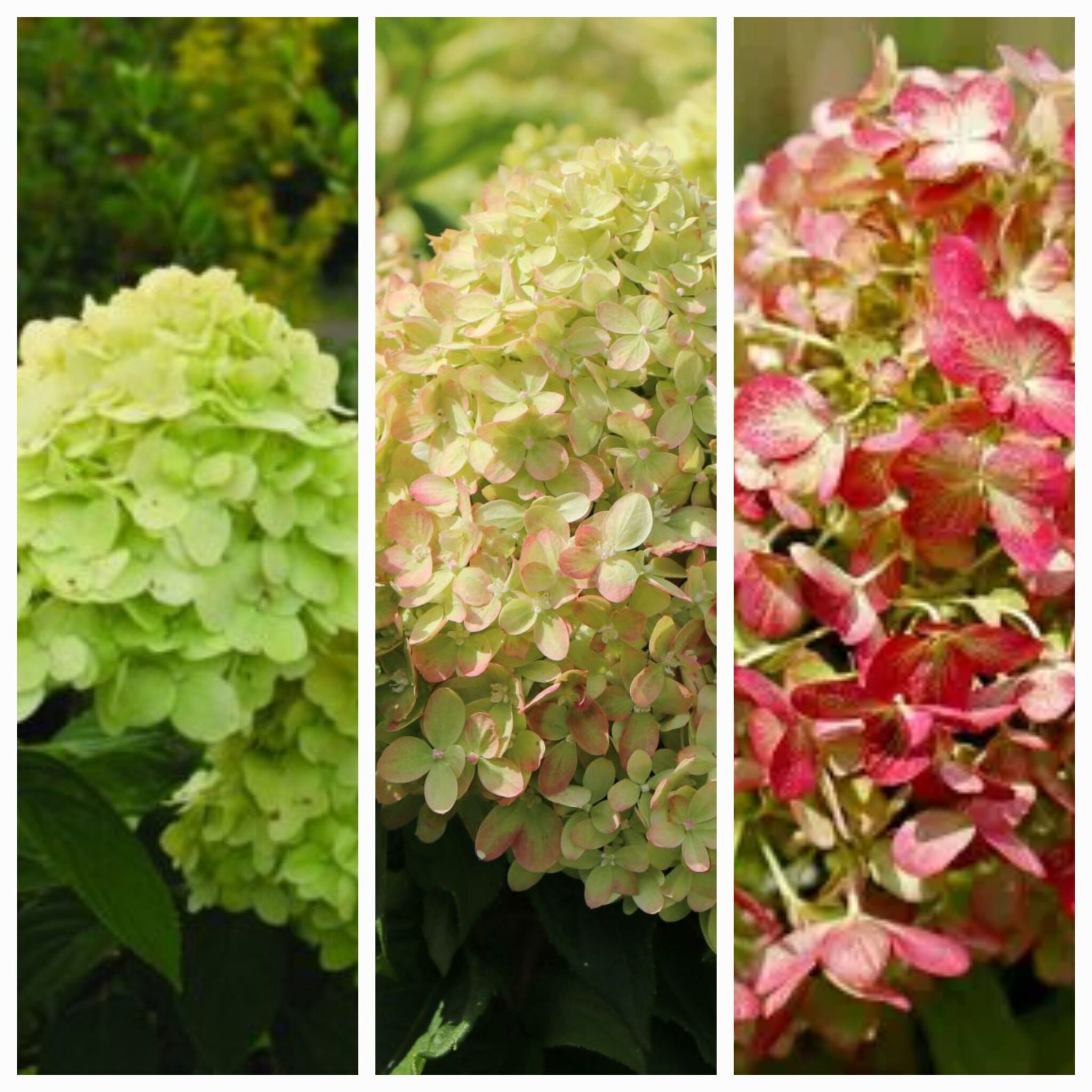 20240305_204543-2048×2048