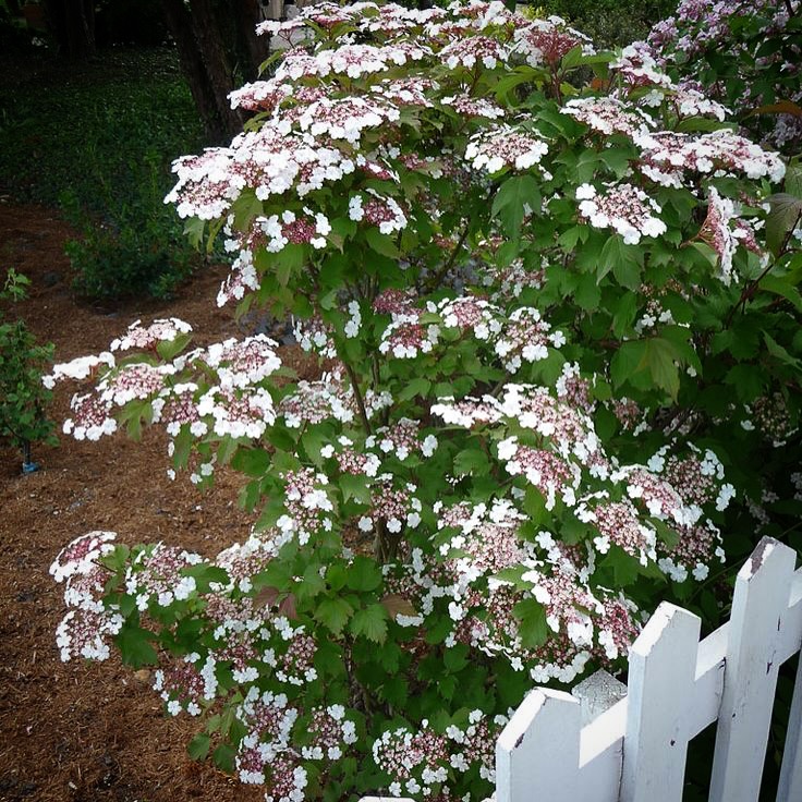 476379548_18043815308521245_5216655539748534577_n