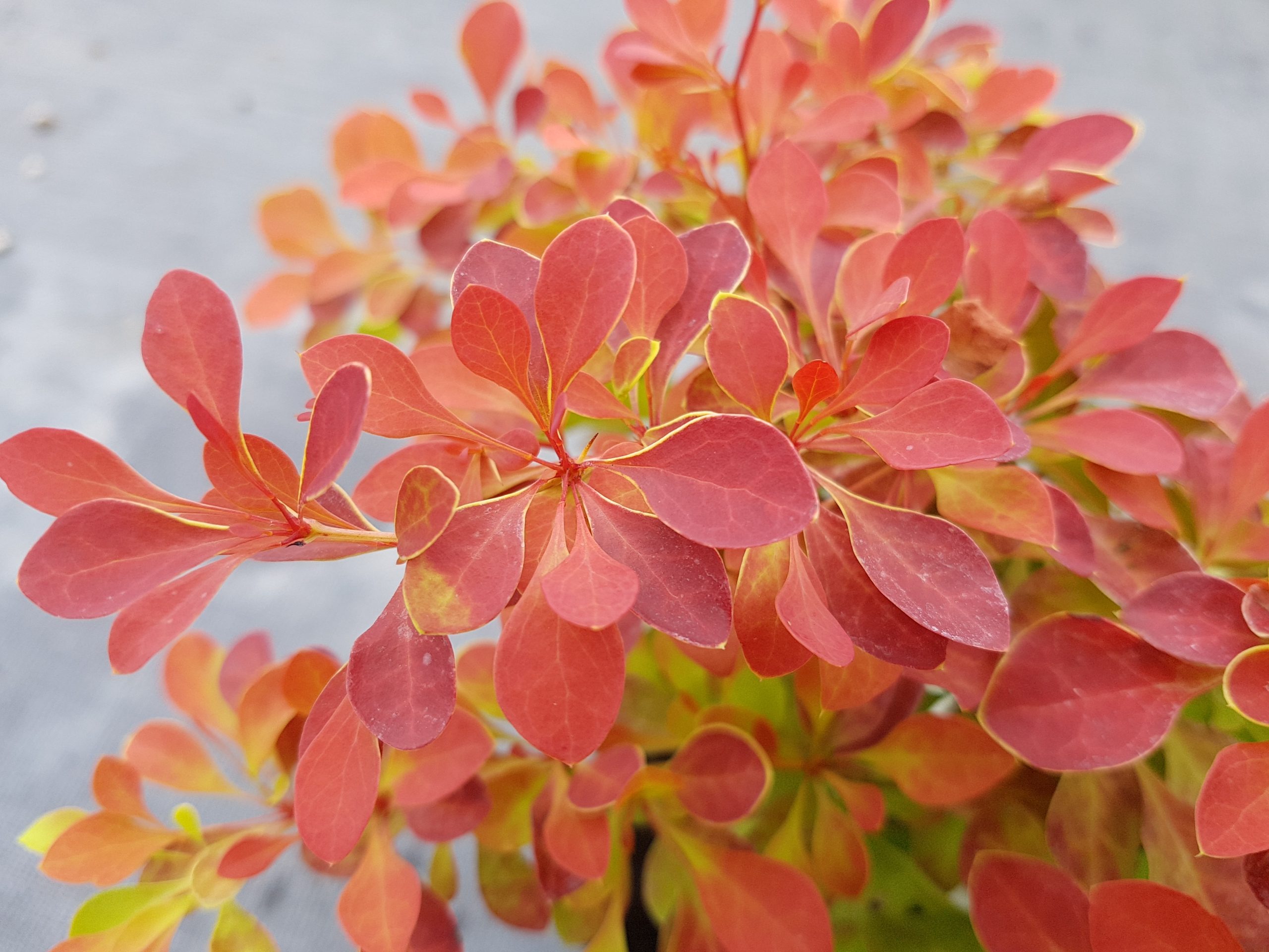 20240726_171141-scaled